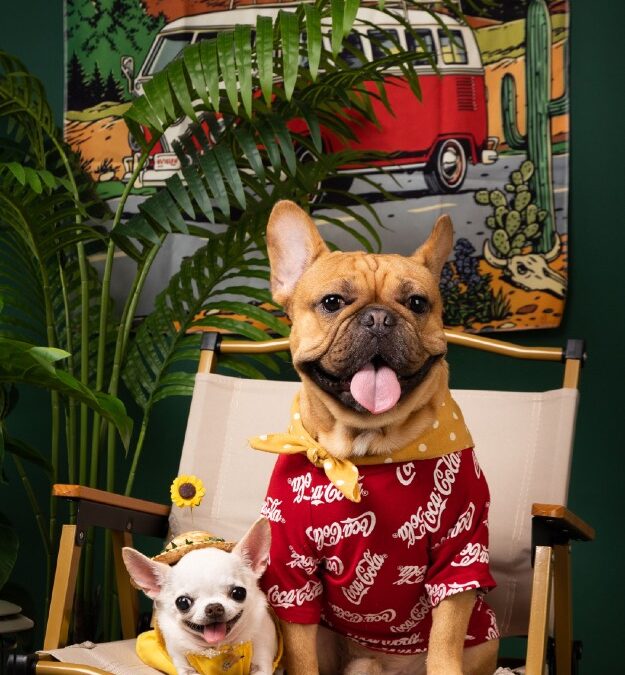 Pet Photography Bandar Botanik Klang