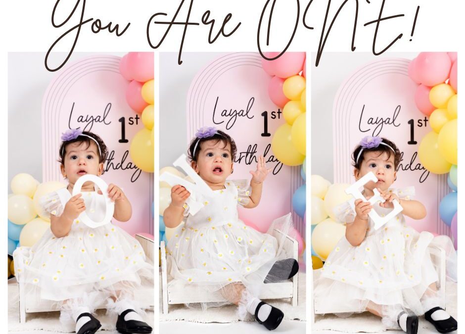 1 Year old Girl Birthday Photoshoot SS2 PJ Studio